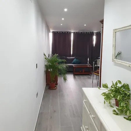 Apartment Apartamento Palmeras *